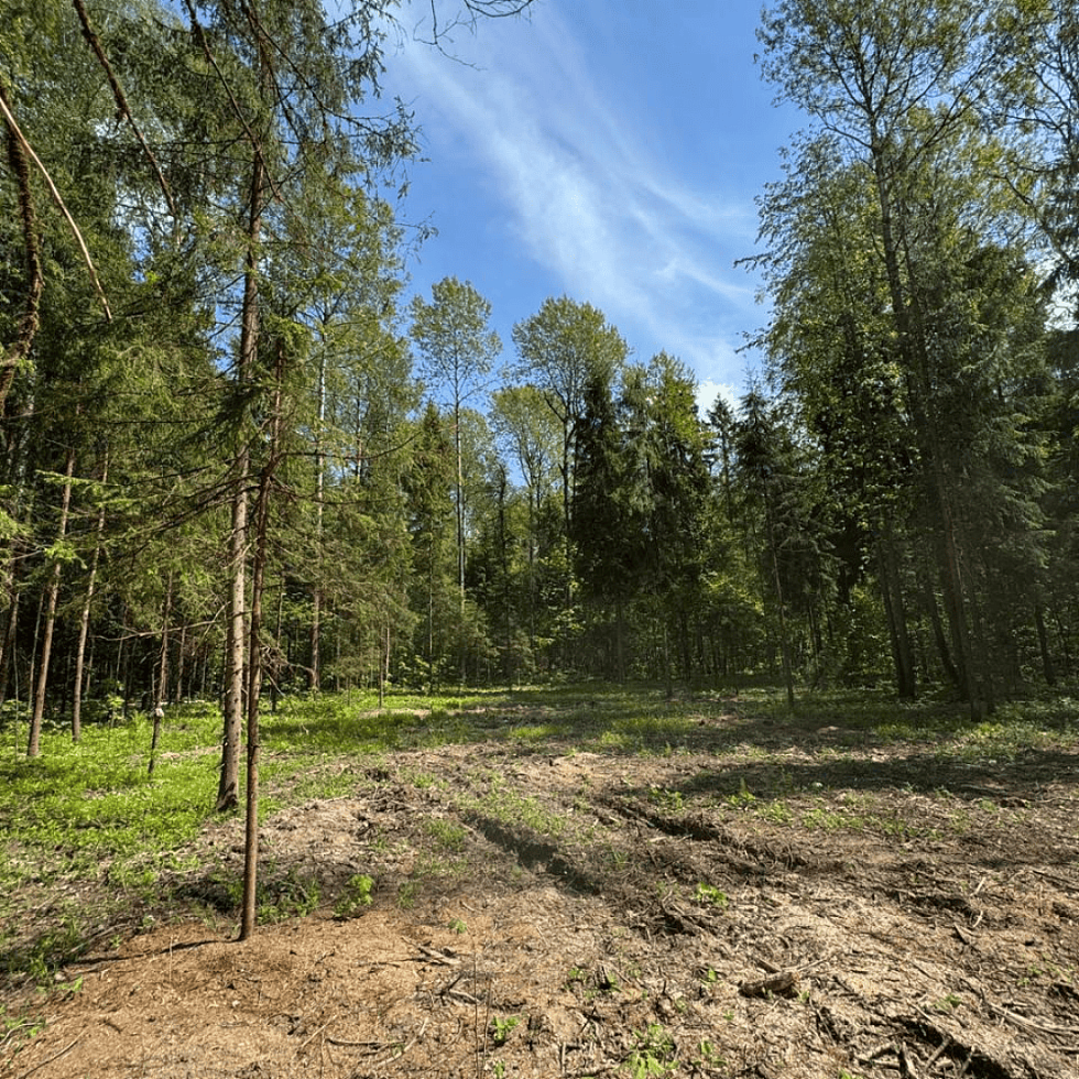 Лагуна Парк. Закрываем сезон: всего 5 участков со скидкой до 300 000 ₽