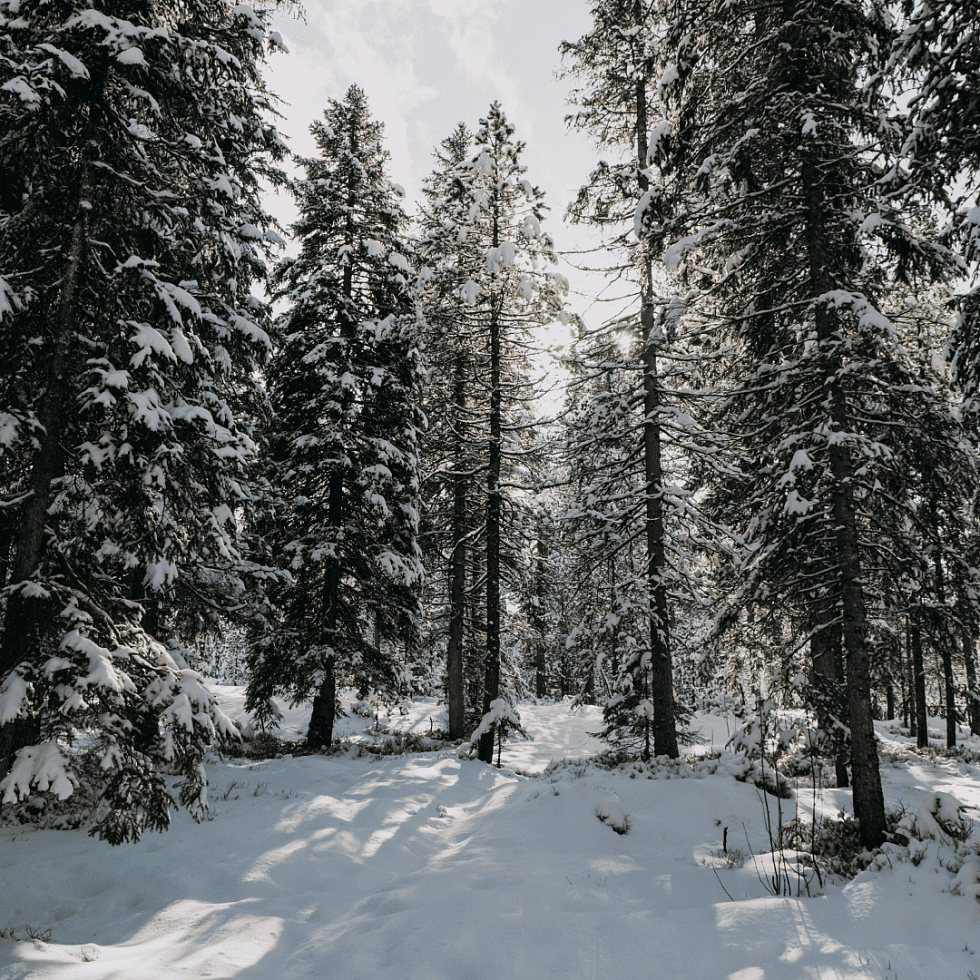 Лагуна Парк. График работы в праздничные дни